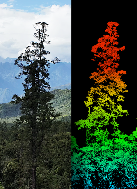 1652684700122894.png 图片15.png