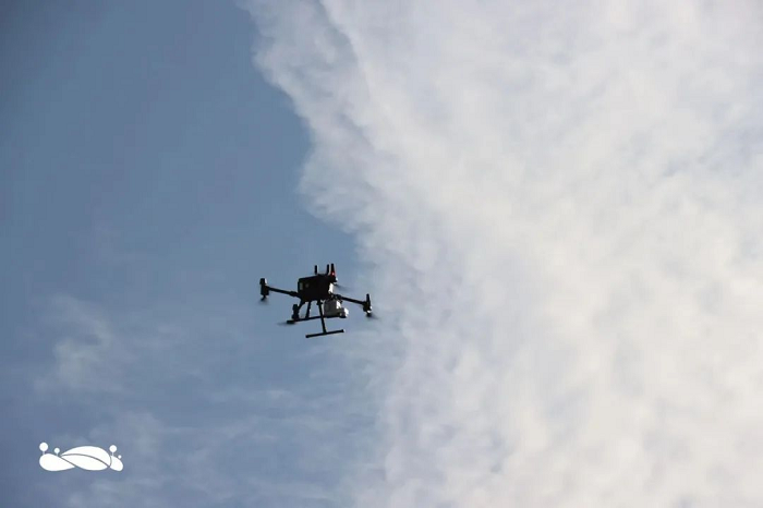 1652684866283192.png 图片17.png