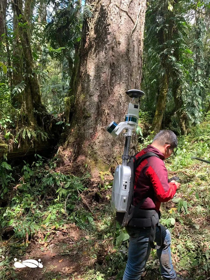 1652684874249584.png 图片18.png