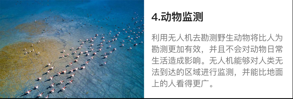 1656398810763168.jpg 1656398810763168.jpg