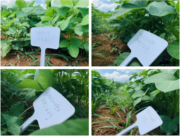 1658734566103796.png 微信截图_20220725152823.png